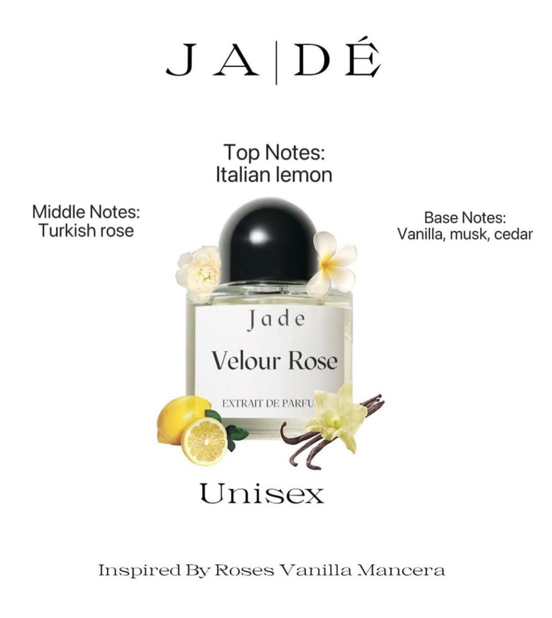 Velour Rose, Inspired by Roses Vanilla Mancera,